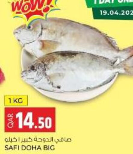  King Fish  in روابي هايبرماركت in قطر - الدوحة