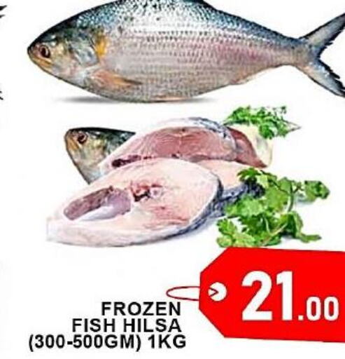  King Fish  in Passion Hypermarket in Qatar - Al Shamal