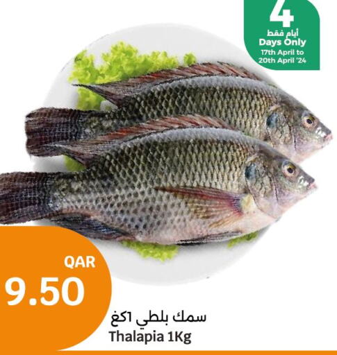  in City Hypermarket in Qatar - Al Shamal