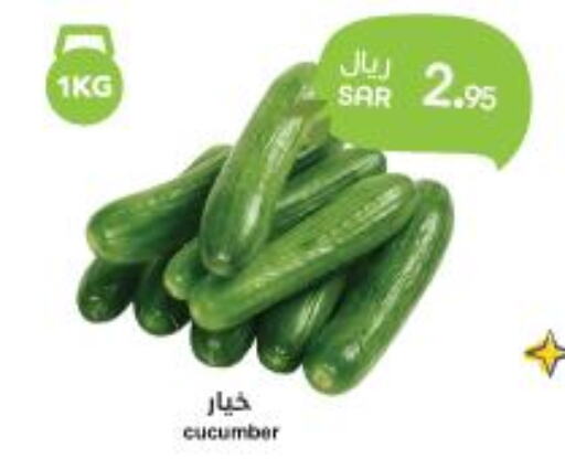 Cucumber  in واحة المستهلك in مملكة العربية السعودية, السعودية, سعودية - الخبر‎