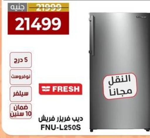 FRESH Freezer  in المرشدي in Egypt - القاهرة