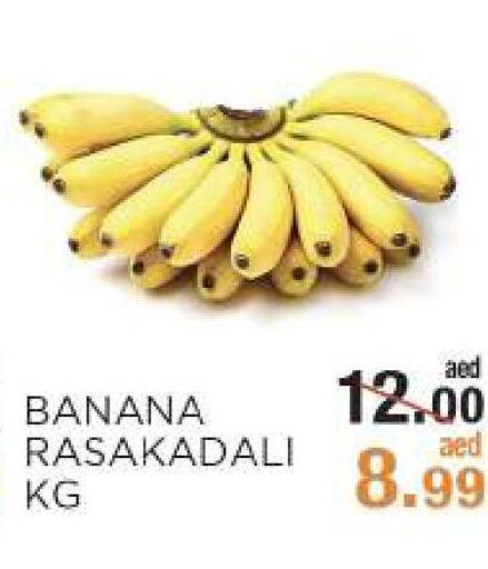  Banana  in Rishees Hypermarket in UAE - Abu Dhabi