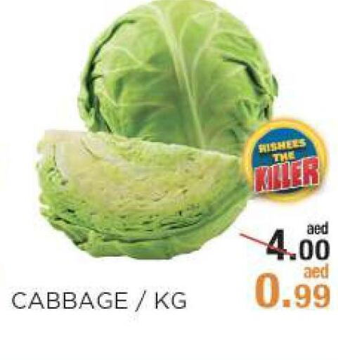  Cabbage  in Rishees Hypermarket in UAE - Abu Dhabi