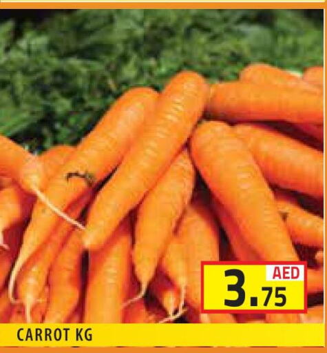  Carrot  in سنابل بني ياس in الإمارات العربية المتحدة , الامارات - أبو ظبي