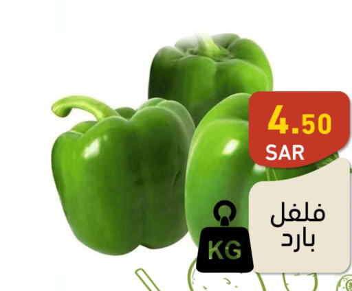  Chilli / Capsicum  in Aswaq Ramez in KSA, Saudi Arabia, Saudi - Hafar Al Batin