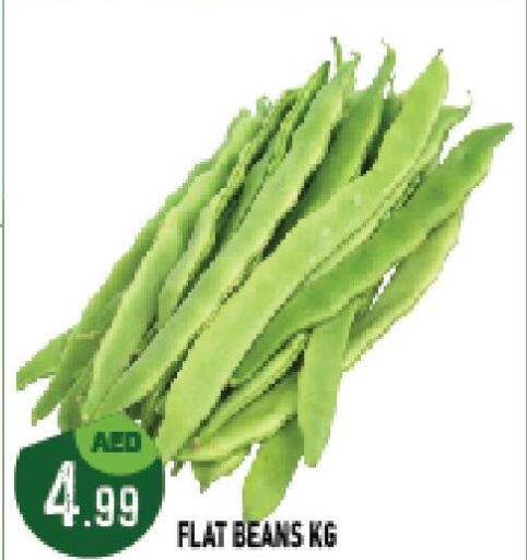  Beans  in Azhar Al Madina Hypermarket in UAE - Abu Dhabi