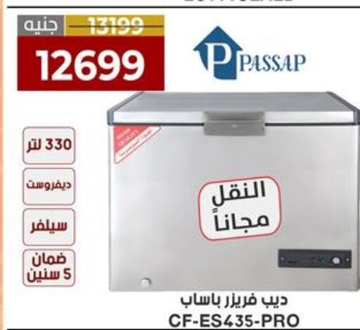 PASSAP Freezer  in المرشدي in Egypt - القاهرة