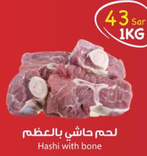  Camel meat  in Consumer Oasis in KSA, Saudi Arabia, Saudi - Dammam