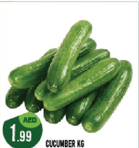  Cucumber  in Azhar Al Madina Hypermarket in UAE - Abu Dhabi
