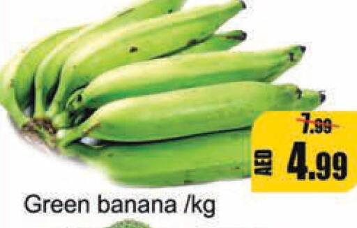  Banana Green  in Leptis Hypermarket  in UAE - Umm al Quwain