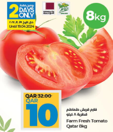  Tomato  in LuLu Hypermarket in Qatar - Al Khor