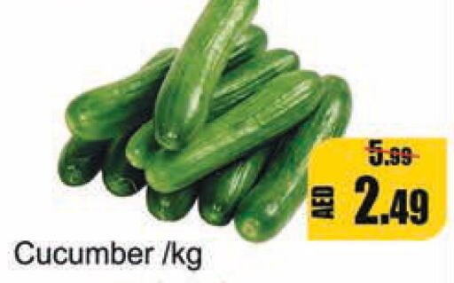  Cucumber  in Leptis Hypermarket  in UAE - Umm al Quwain