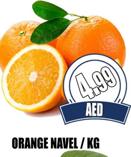  Orange  in GRAND MAJESTIC HYPERMARKET in الإمارات العربية المتحدة , الامارات - أبو ظبي
