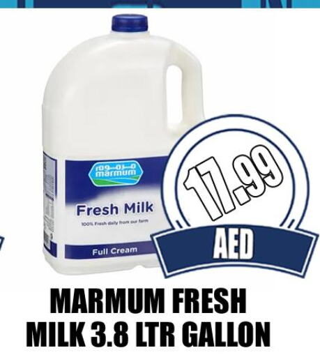 MARMUM Fresh Milk  in GRAND MAJESTIC HYPERMARKET in UAE - Abu Dhabi