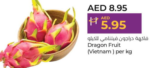  Dragon fruits  in Lulu Hypermarket in UAE - Al Ain