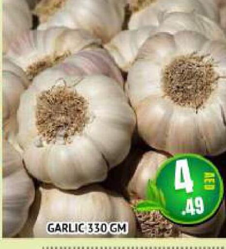  Garlic  in المدينة in الإمارات العربية المتحدة , الامارات - الشارقة / عجمان