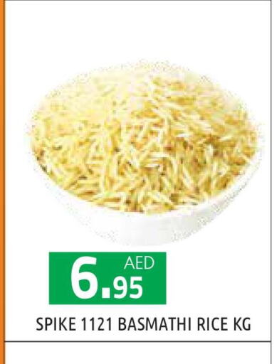 Basmati Rice  in Baniyas Spike  in UAE - Abu Dhabi