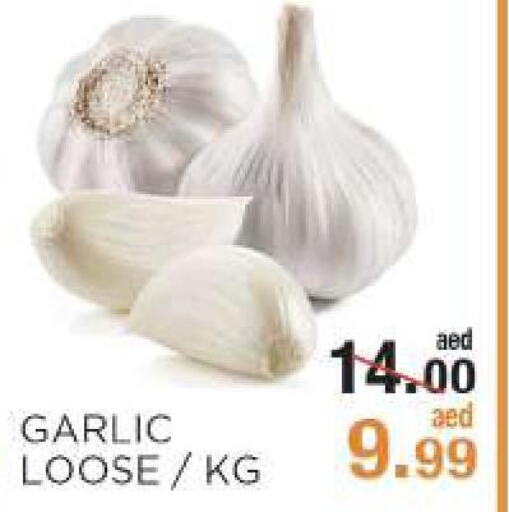  Garlic  in Rishees Hypermarket in UAE - Abu Dhabi