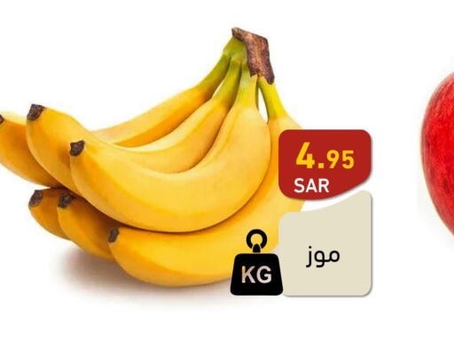  Banana  in Aswaq Ramez in KSA, Saudi Arabia, Saudi - Tabuk