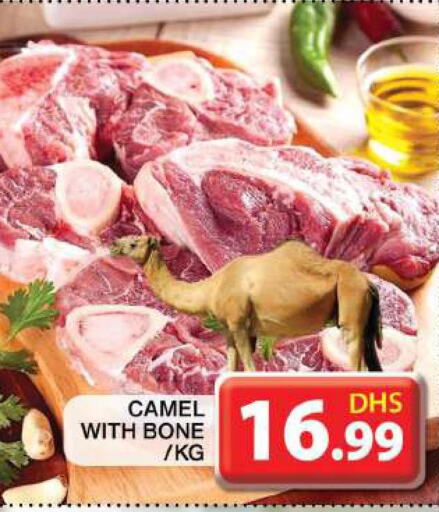 Camel meat  in Grand Hyper Market in UAE - Dubai