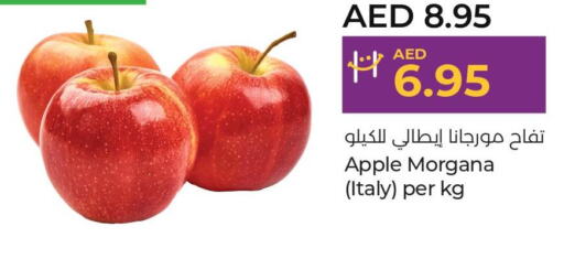  Berries  in Lulu Hypermarket in UAE - Abu Dhabi