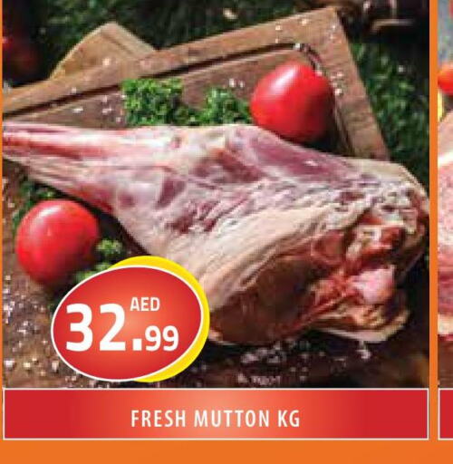  Mutton / Lamb  in سنابل بني ياس in الإمارات العربية المتحدة , الامارات - رَأْس ٱلْخَيْمَة