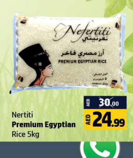  Egyptian / Calrose Rice  in الحوت  in الإمارات العربية المتحدة , الامارات - رَأْس ٱلْخَيْمَة