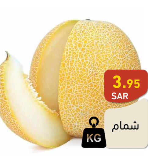  Sweet melon  in Aswaq Ramez in KSA, Saudi Arabia, Saudi - Hafar Al Batin