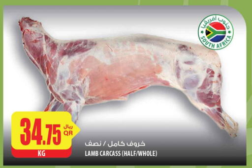  Mutton / Lamb  in شركة الميرة للمواد الاستهلاكية in قطر - الدوحة