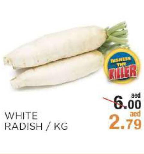 Radish  in Rishees Hypermarket in UAE - Abu Dhabi