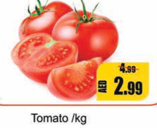  Tomato  in Leptis Hypermarket  in UAE - Umm al Quwain