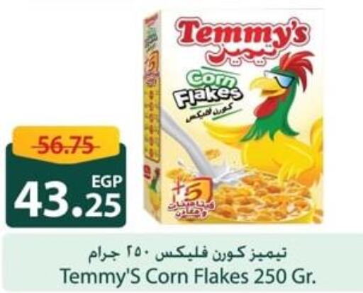 TEMMYS Corn Flakes  in سبينس in Egypt - القاهرة
