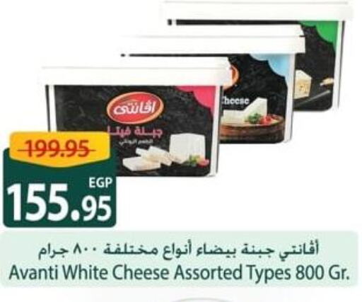  Slice Cheese  in سبينس in Egypt - القاهرة