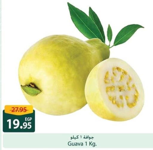  Guava  in Spinneys  in Egypt - Cairo