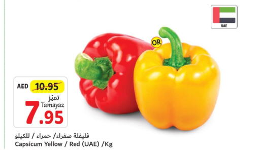  Chilli / Capsicum  in تعاونية الاتحاد in الإمارات العربية المتحدة , الامارات - أبو ظبي