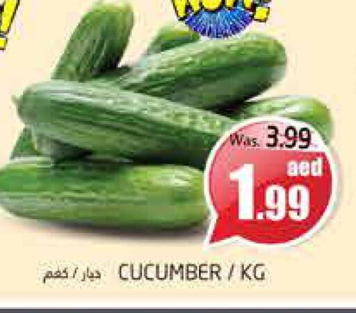  Cucumber  in PASONS GROUP in UAE - Al Ain