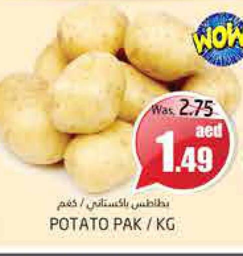  Potato  in PASONS GROUP in UAE - Al Ain