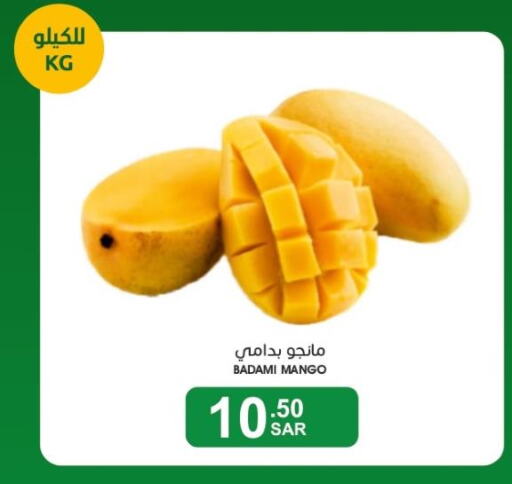 Mango   in Mazaya in KSA, Saudi Arabia, Saudi - Dammam