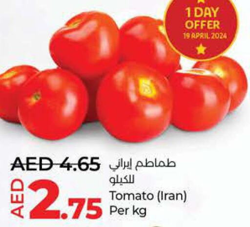  Tomato  in لولو هايبرماركت in الإمارات العربية المتحدة , الامارات - الشارقة / عجمان