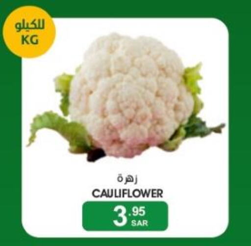  Cauliflower  in Mazaya in KSA, Saudi Arabia, Saudi - Dammam