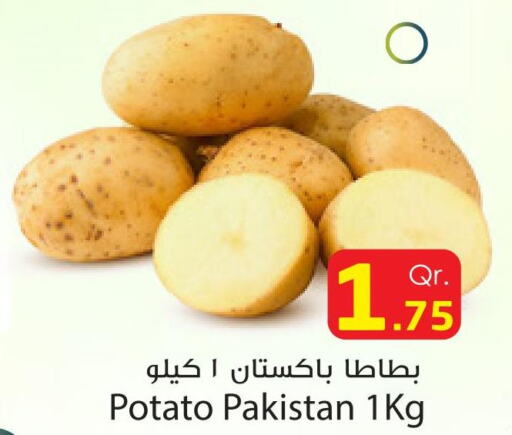  Potato  in Dana Express in Qatar - Al-Shahaniya