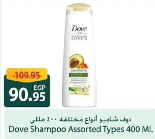 DOVE Shampoo / Conditioner  in Spinneys  in Egypt - Cairo