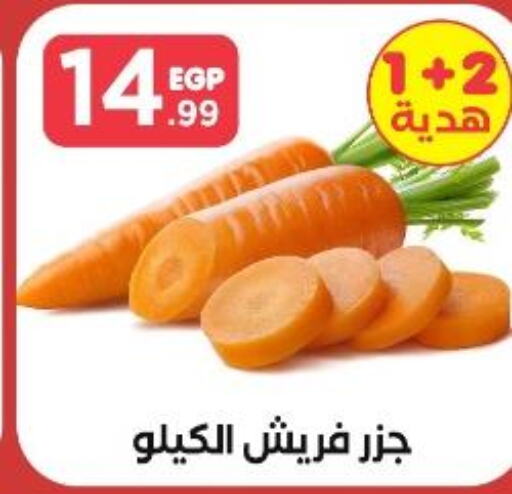  Carrot  in مارت فيل in Egypt - القاهرة