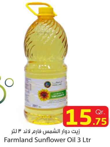  Sunflower Oil  in دانة إكسبرس in قطر - الخور