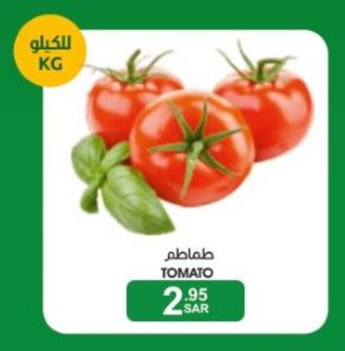  Tomato  in Mazaya in KSA, Saudi Arabia, Saudi - Dammam