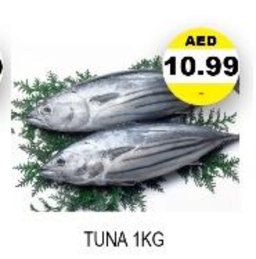  Tuna  in اي ون سوبر ماركت in الإمارات العربية المتحدة , الامارات - أبو ظبي