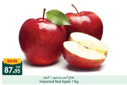  Apples  in Spinneys  in Egypt - Cairo