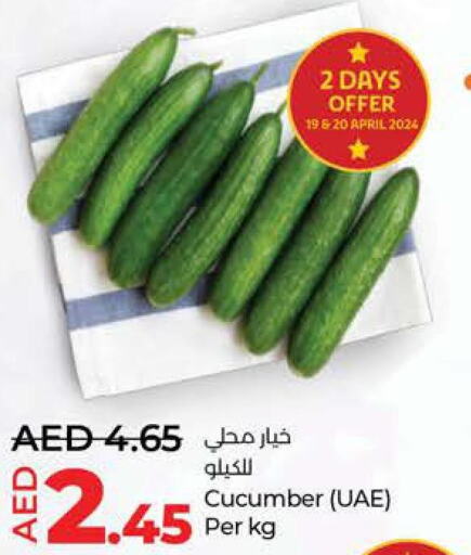  Cucumber  in لولو هايبرماركت in الإمارات العربية المتحدة , الامارات - الشارقة / عجمان