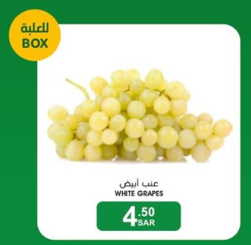  Grapes  in  مـزايــا in مملكة العربية السعودية, السعودية, سعودية - المنطقة الشرقية