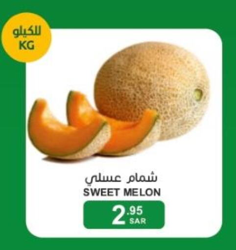  Sweet melon  in Mazaya in KSA, Saudi Arabia, Saudi - Qatif